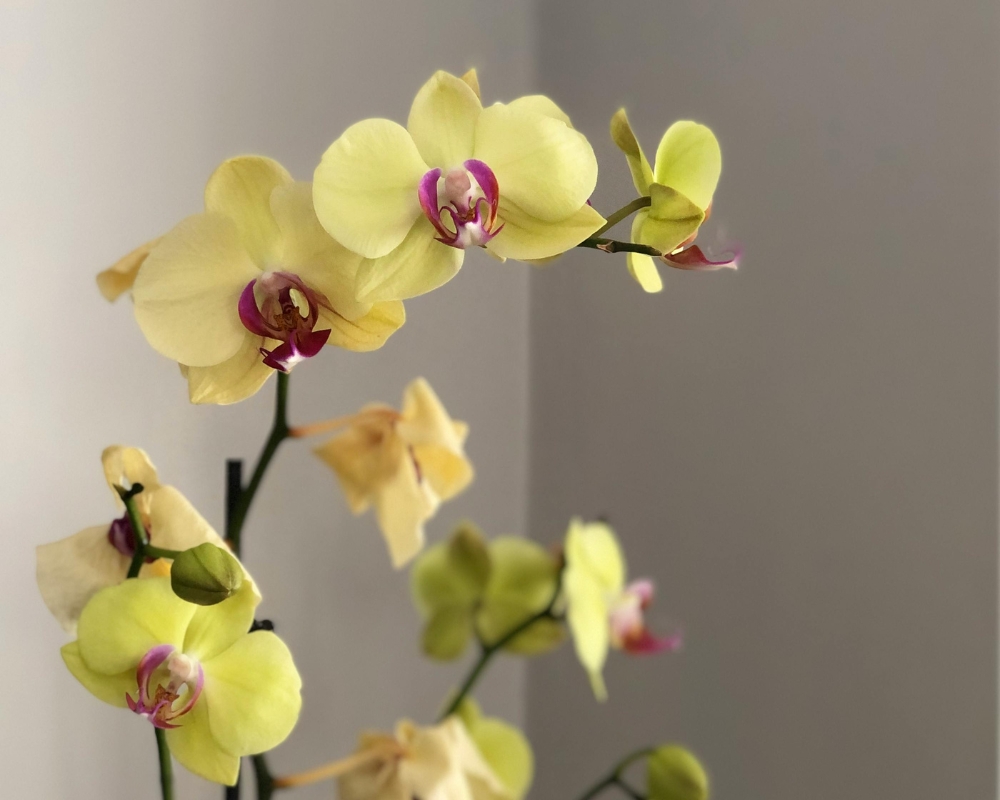 Cores Neutras na Decoração